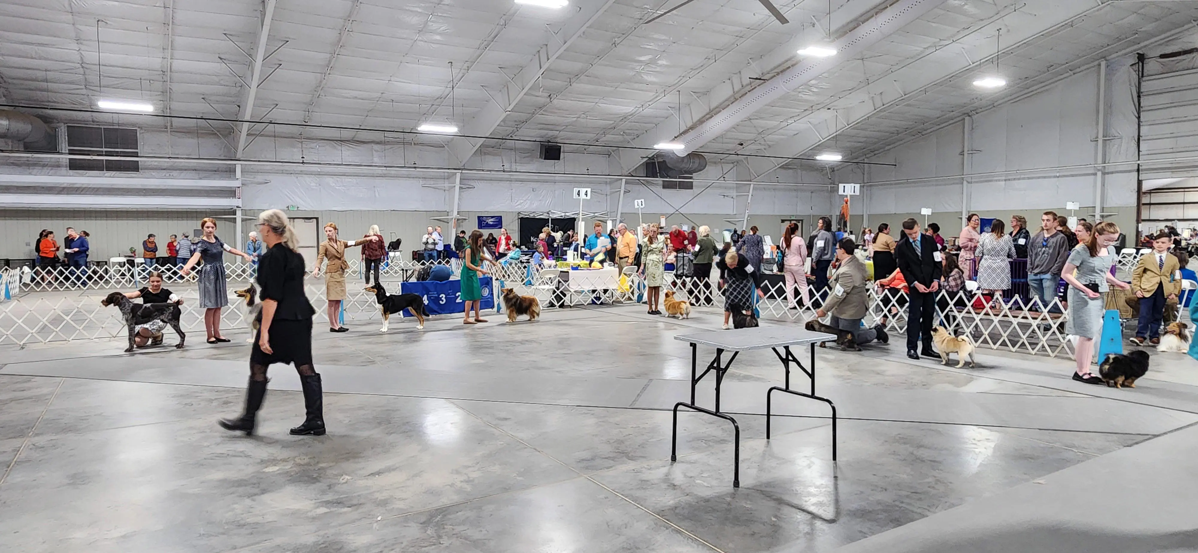 2025 Annual Show