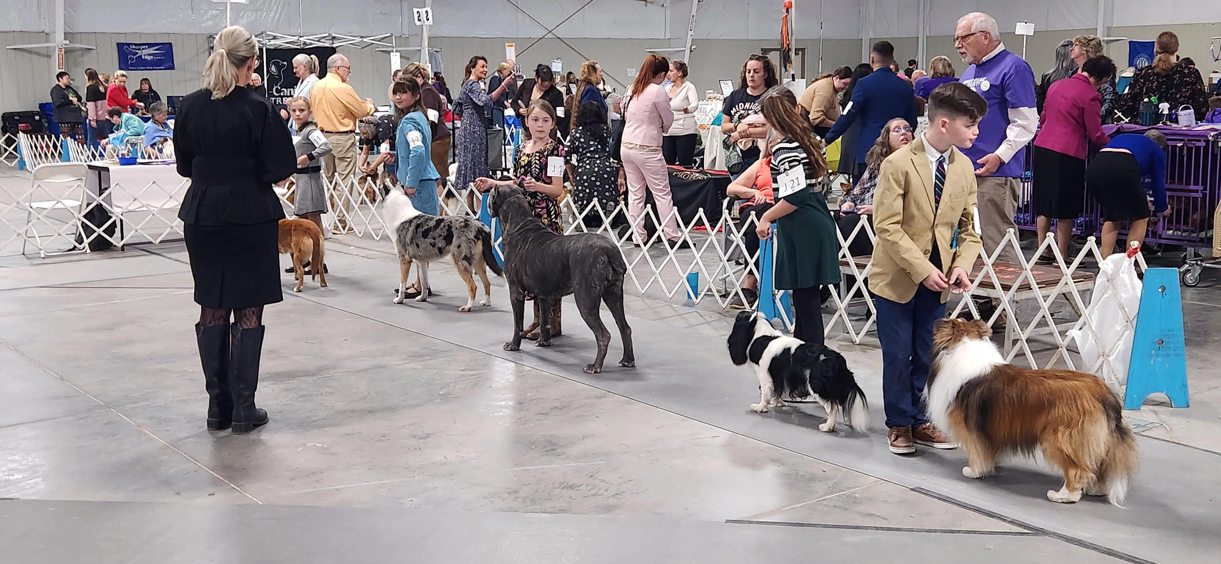 2025 Annual Show