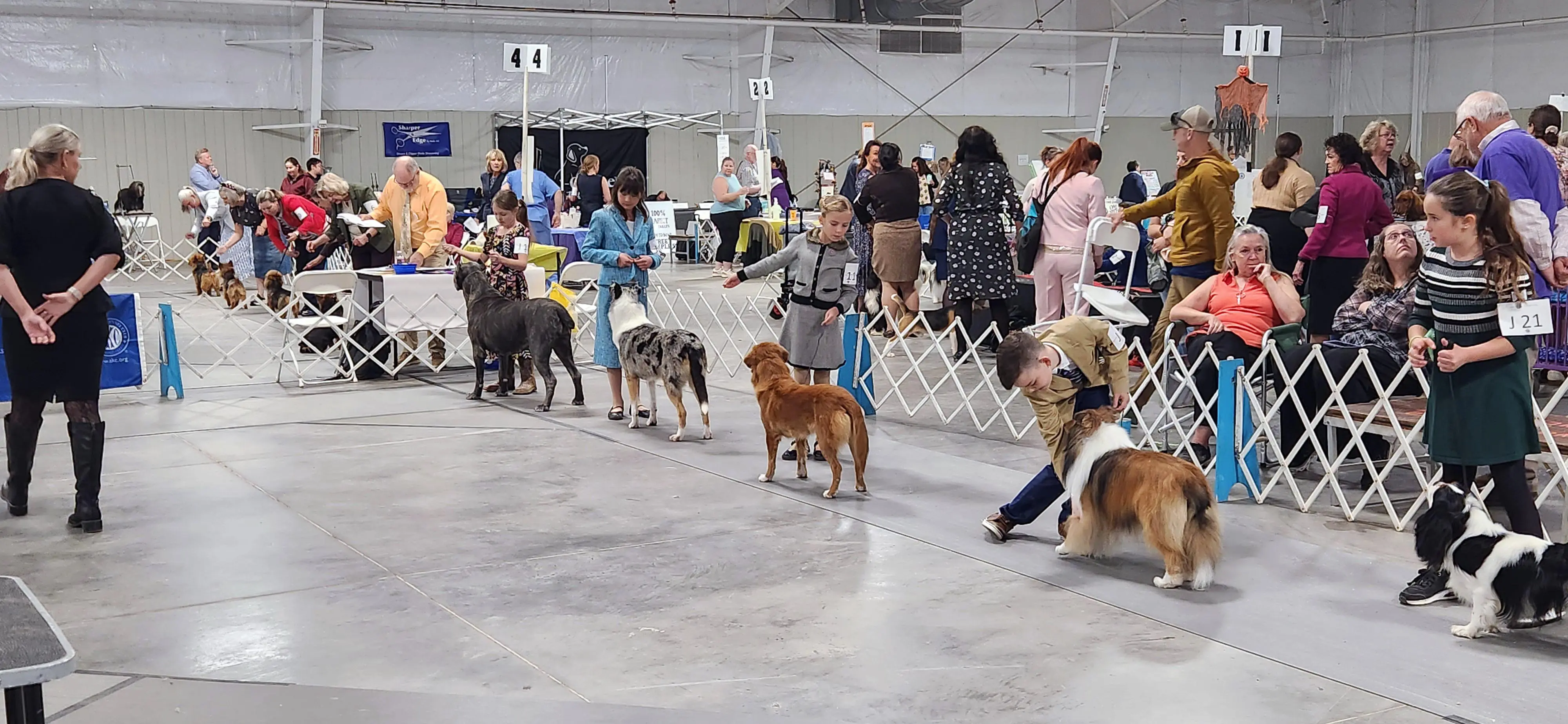 2025 Annual Show