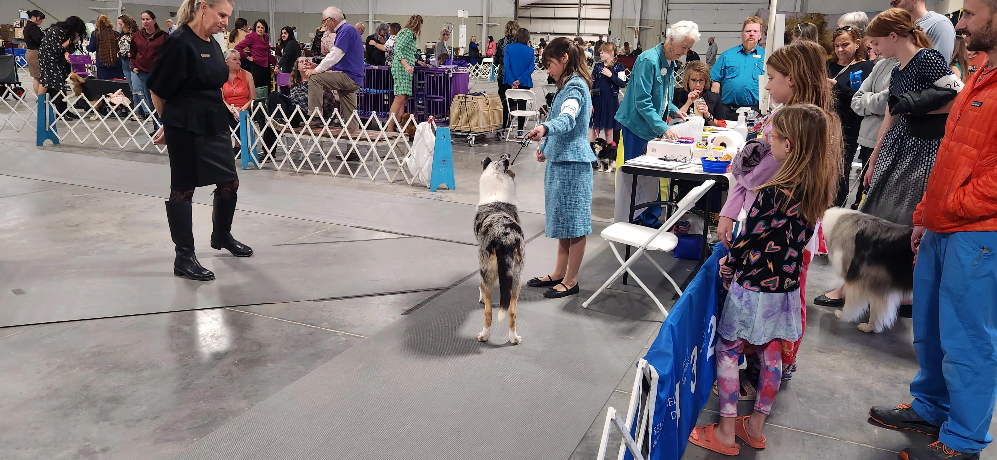 2025 Annual Show