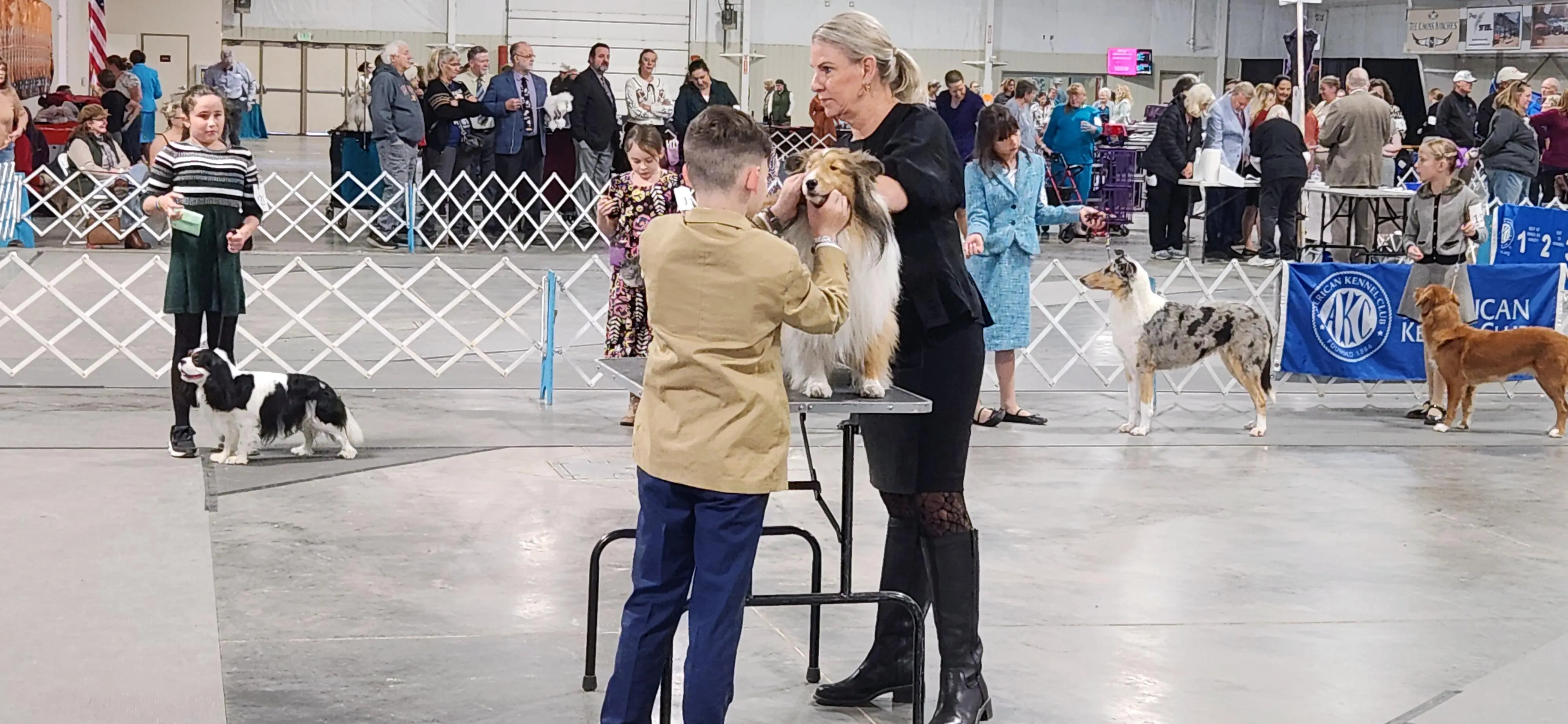 2025 Annual Show
