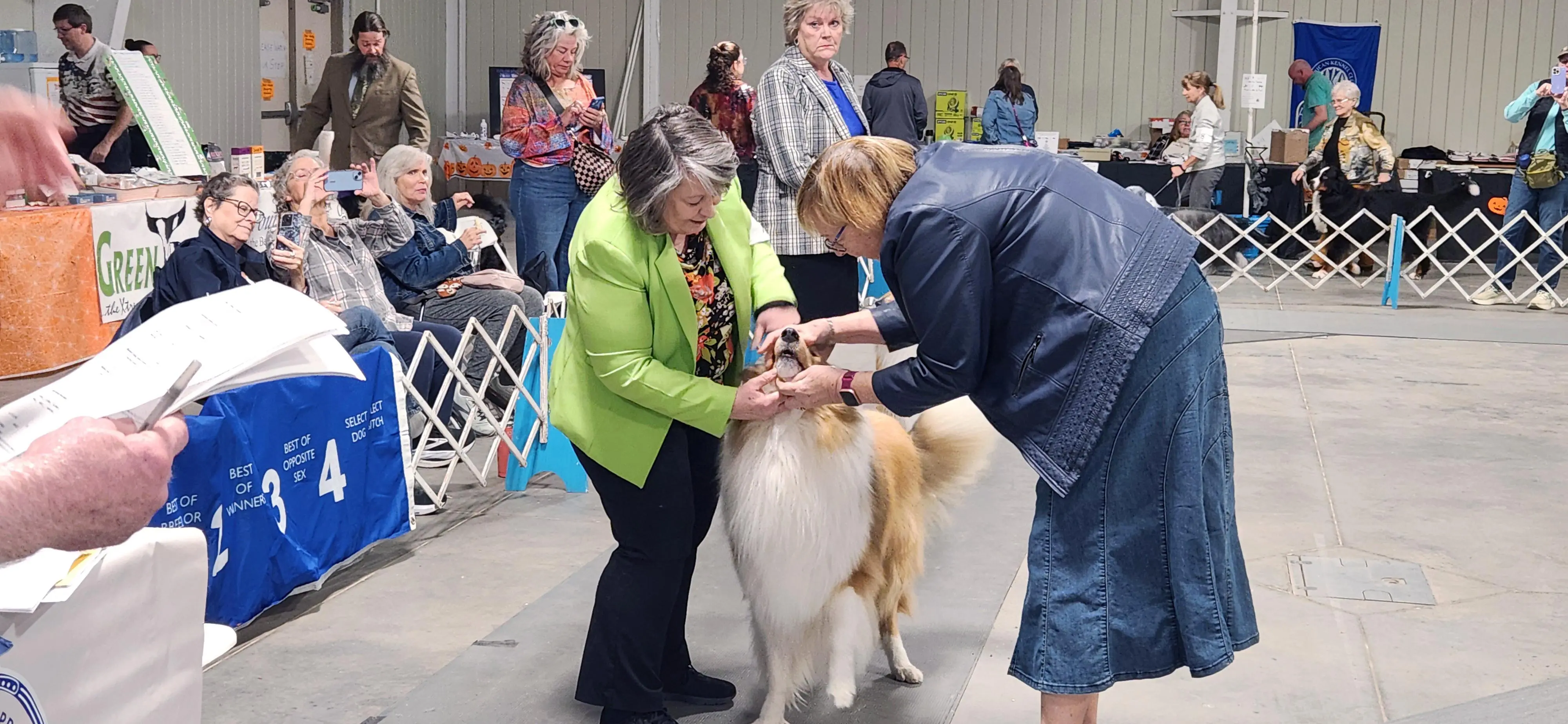 2025 Annual Show