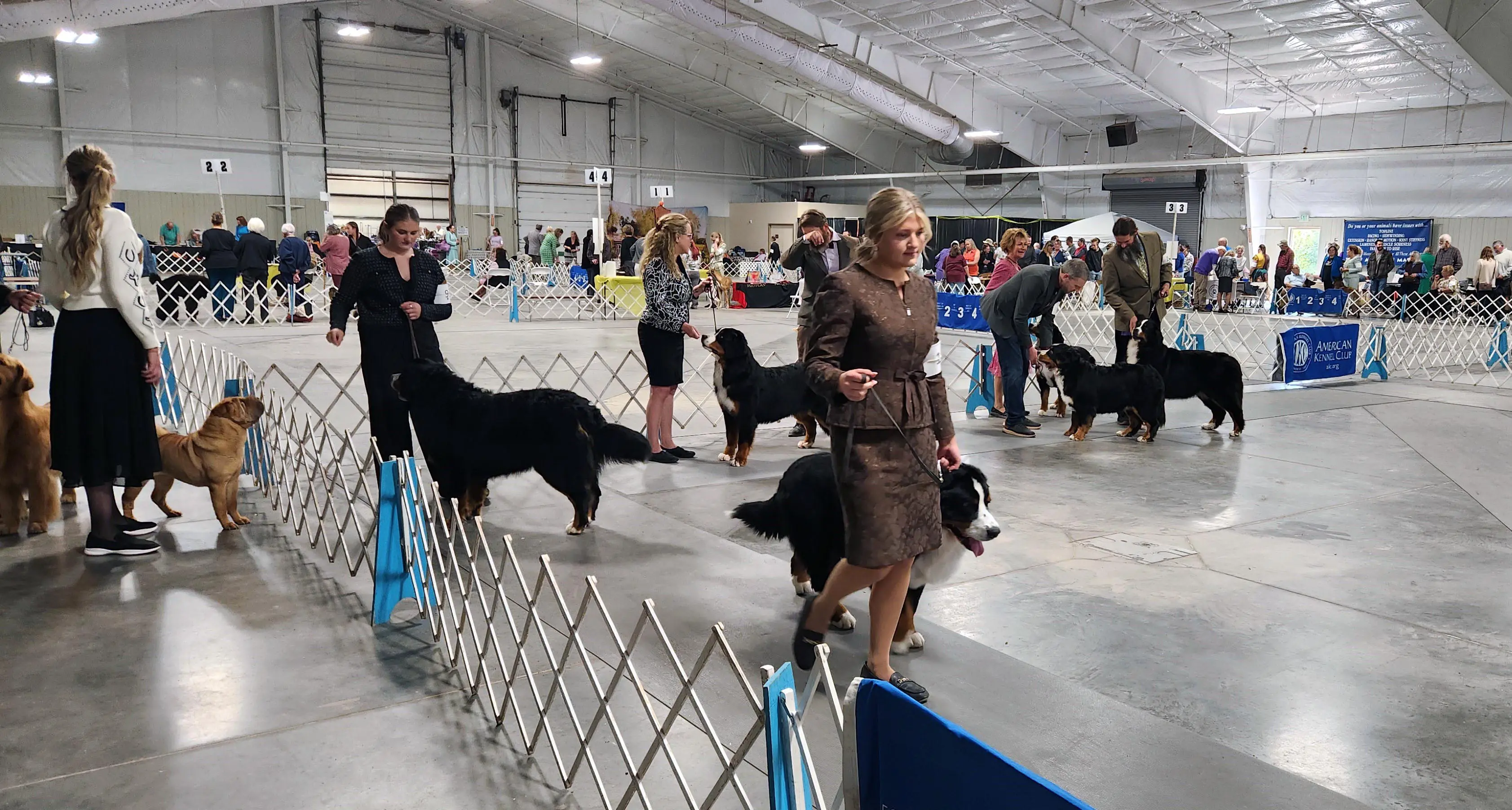 2025 Annual Show