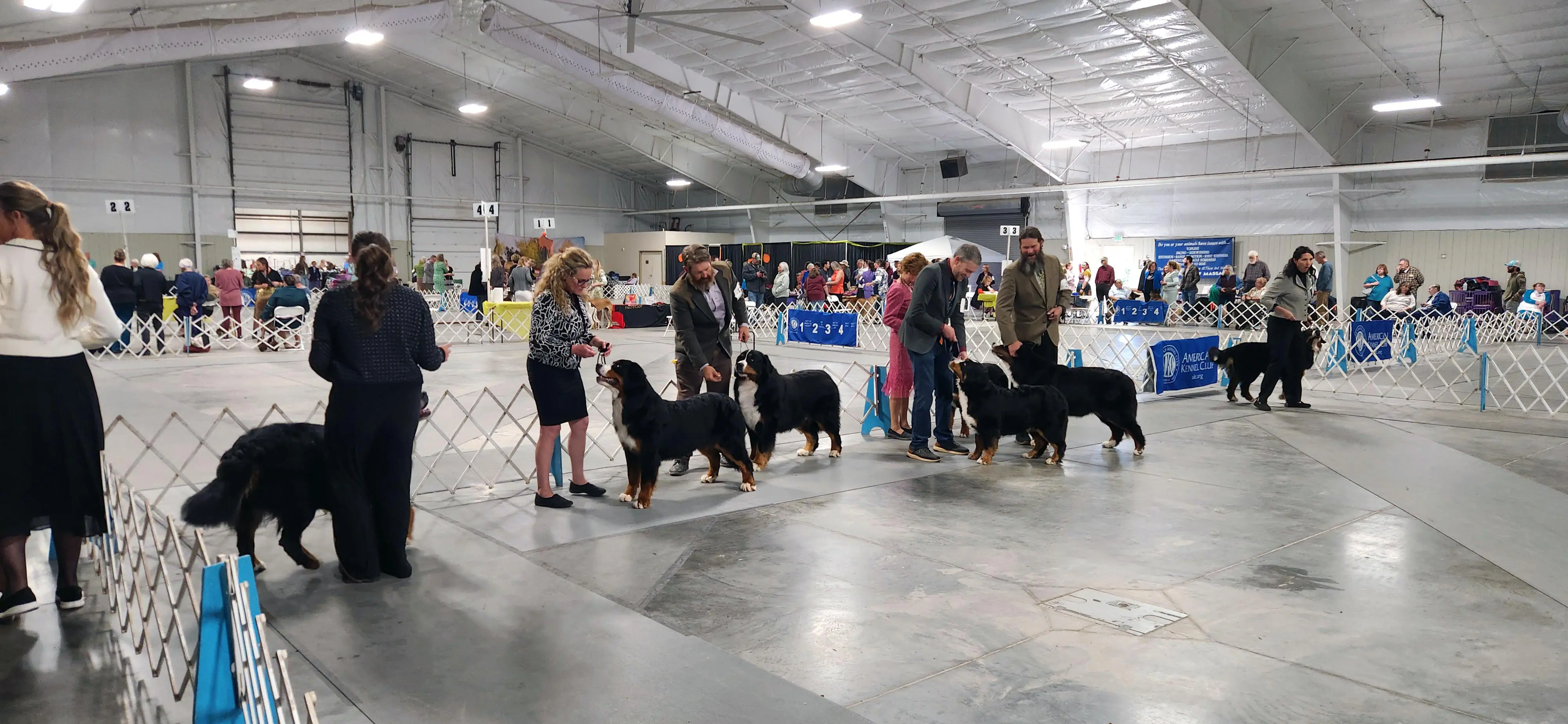 2025 Annual Show