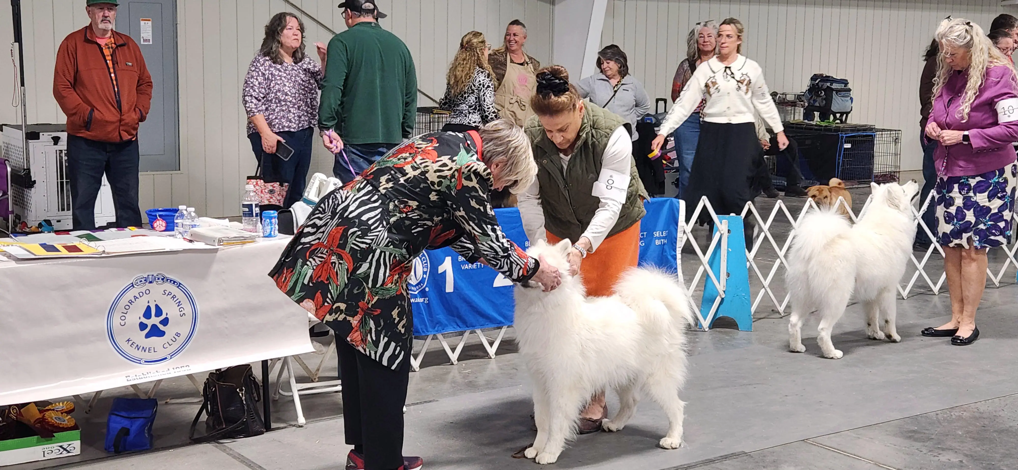 2025 Annual Show