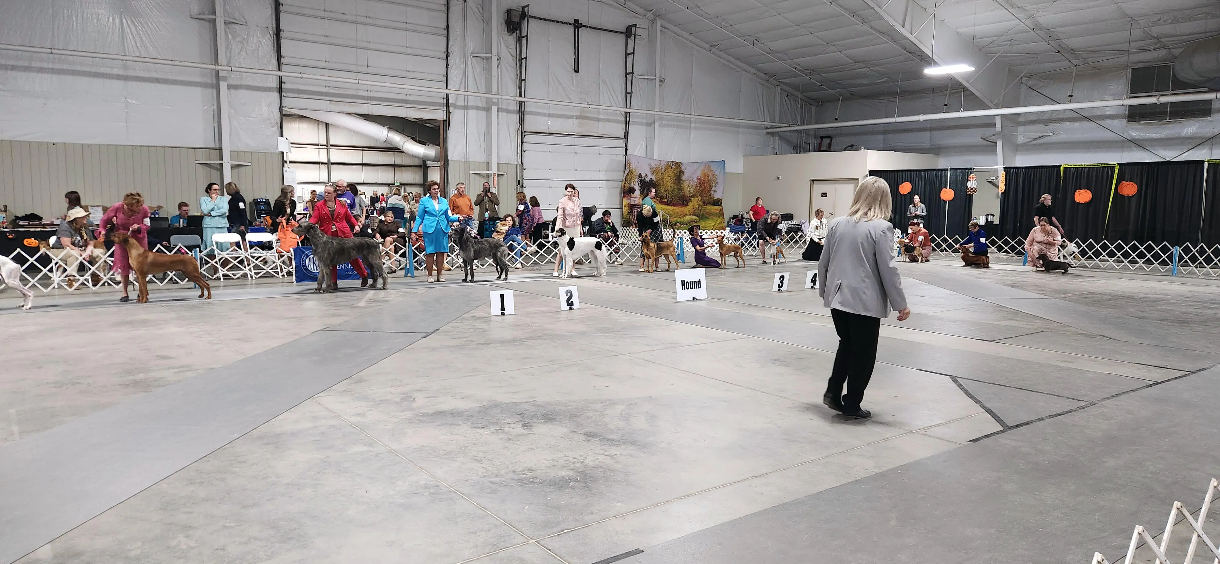 2025 Annual Show