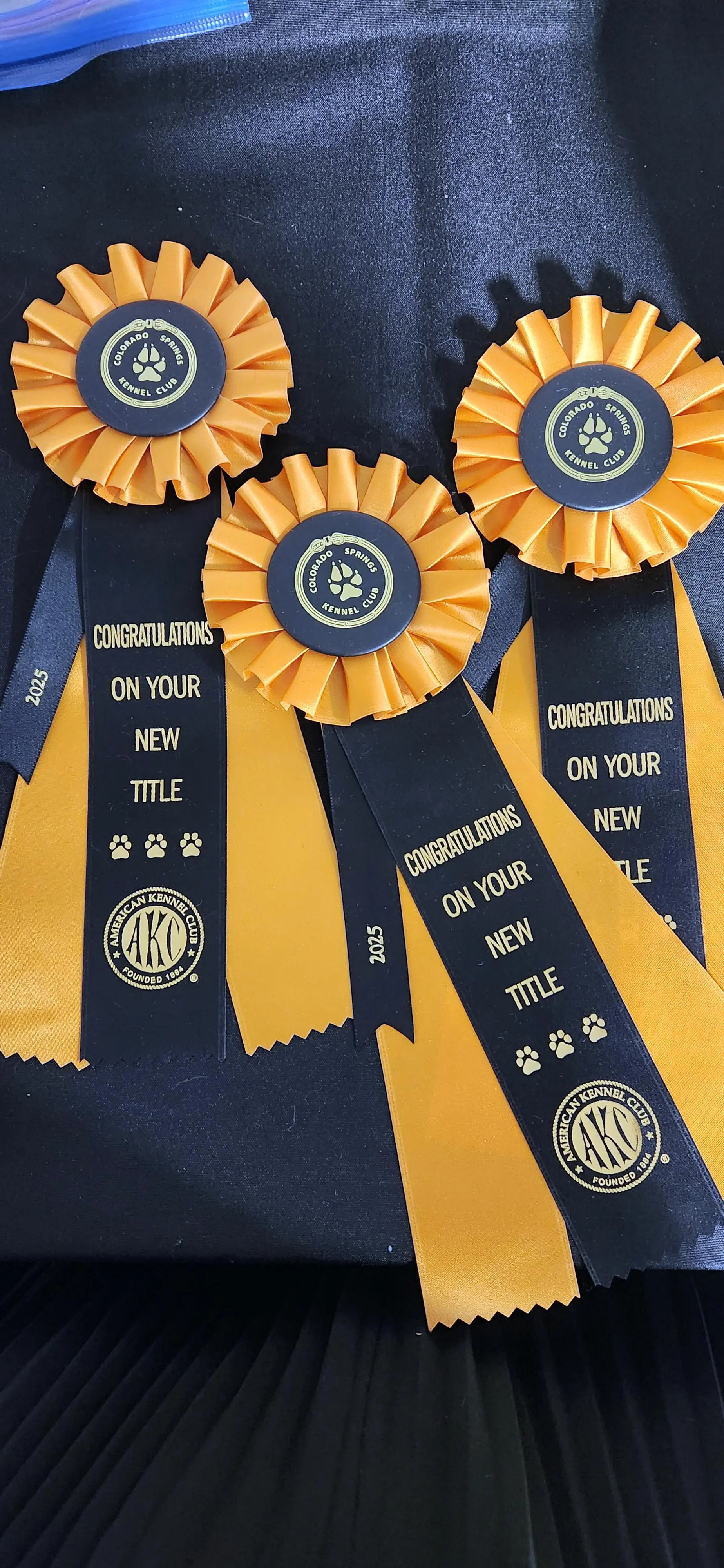 2025 Annual Show