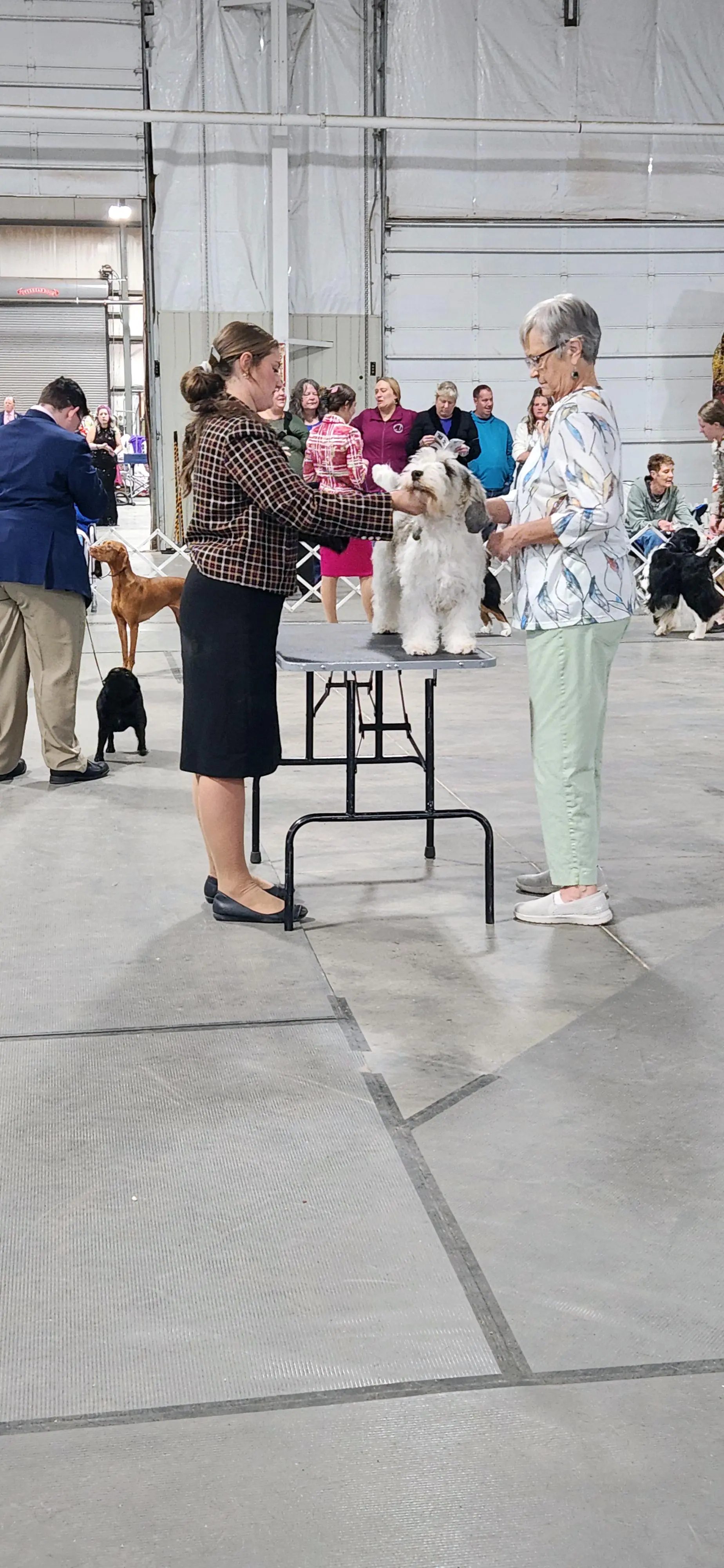 2025 Annual Show