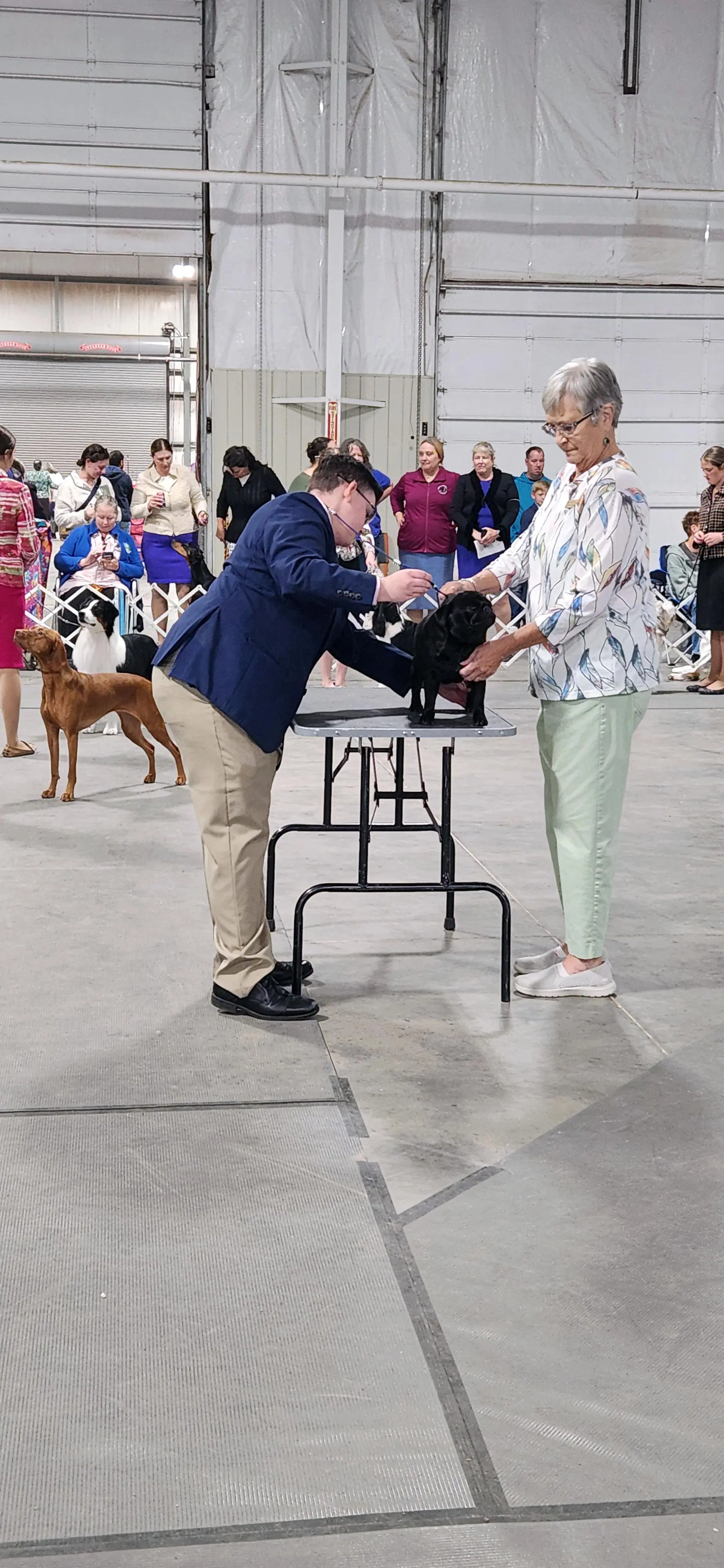 2025 Annual Show