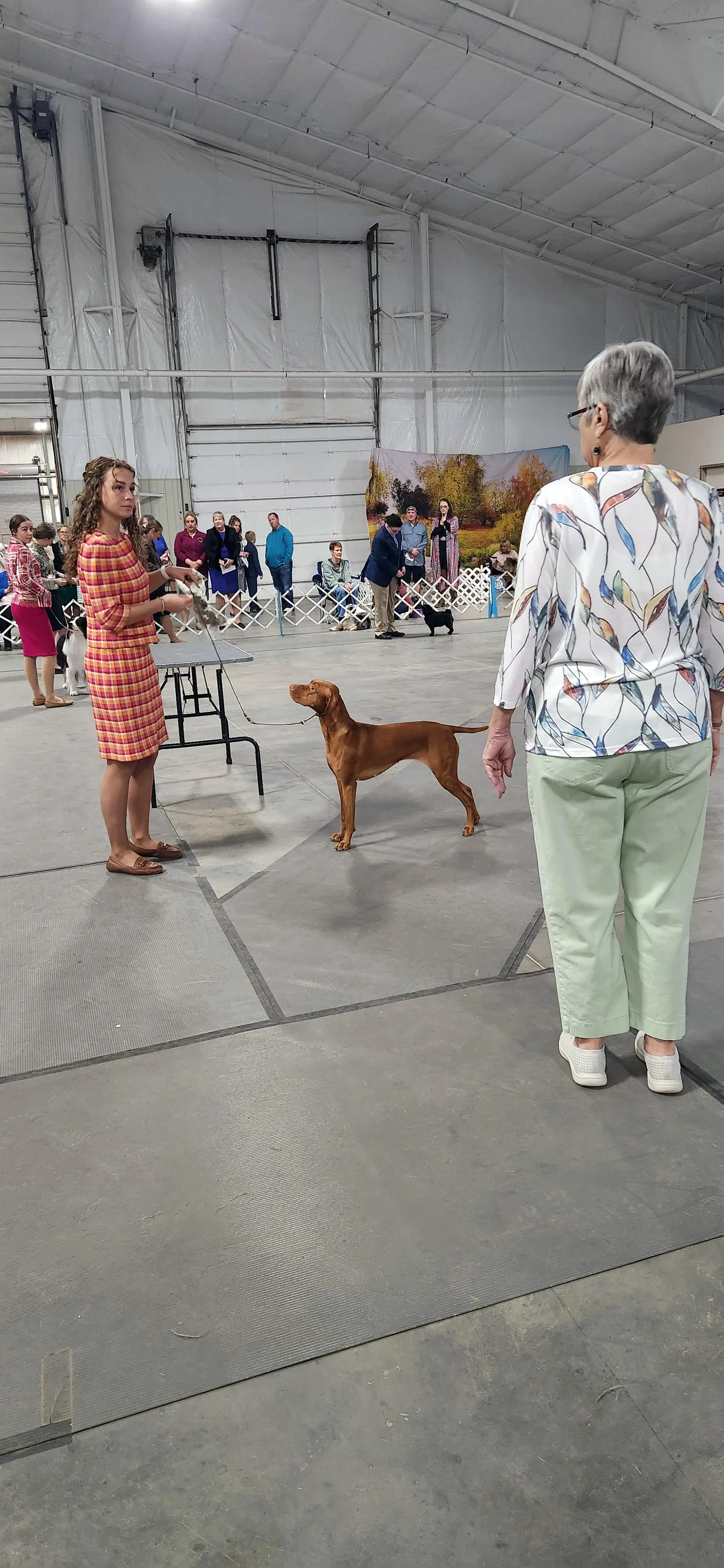 2025 Annual Show
