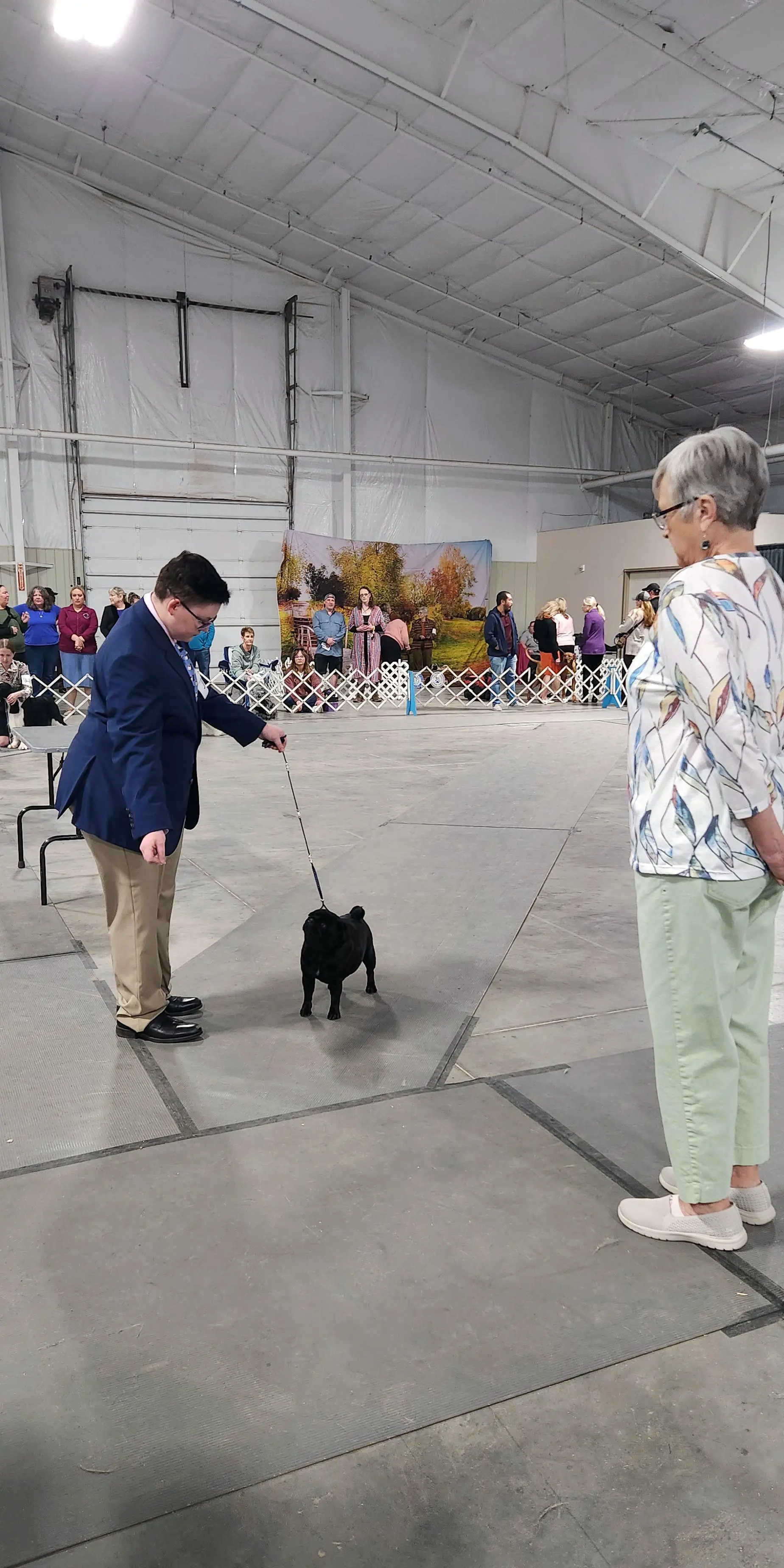 2025 Annual Show