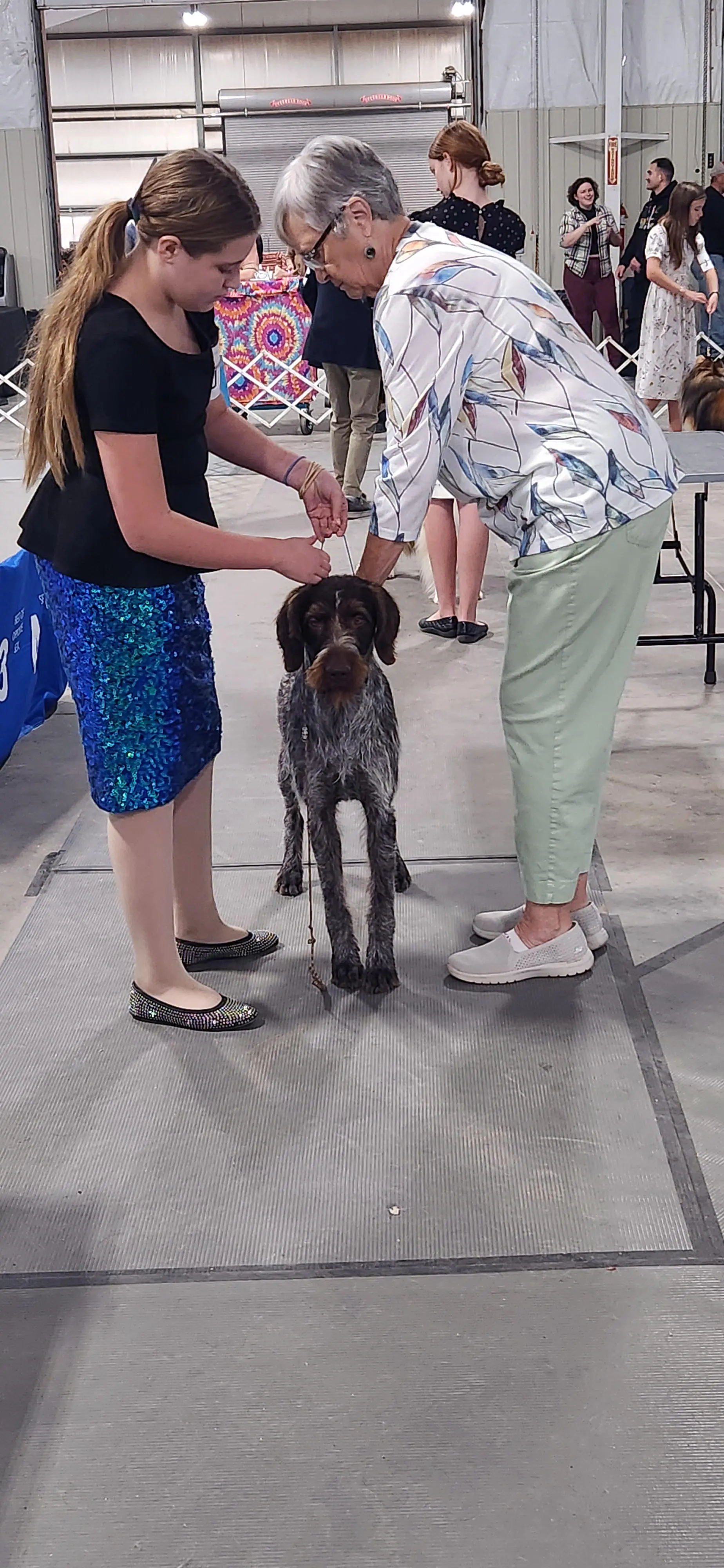 2025 Annual Show
