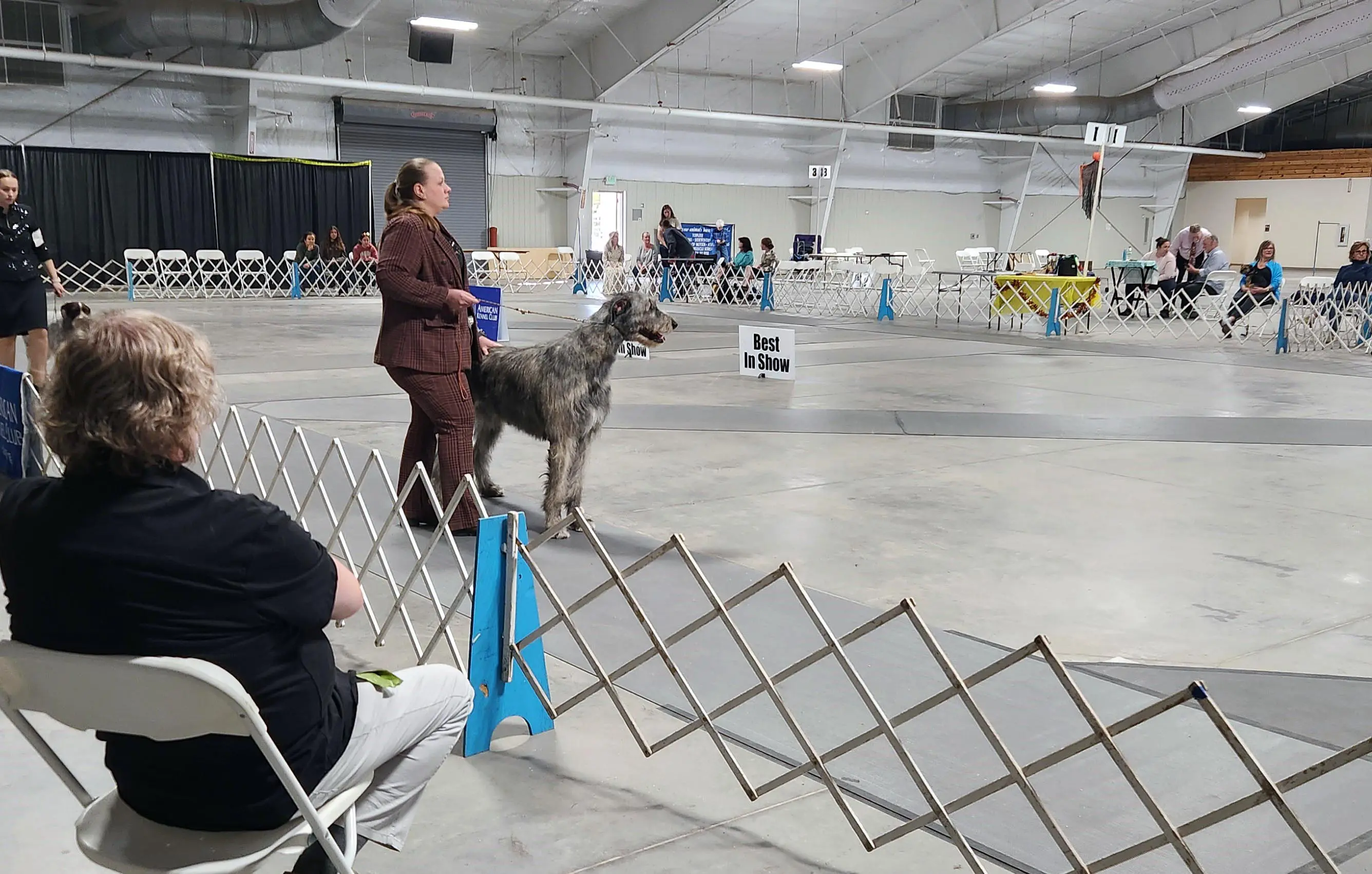 2025 Annual Show