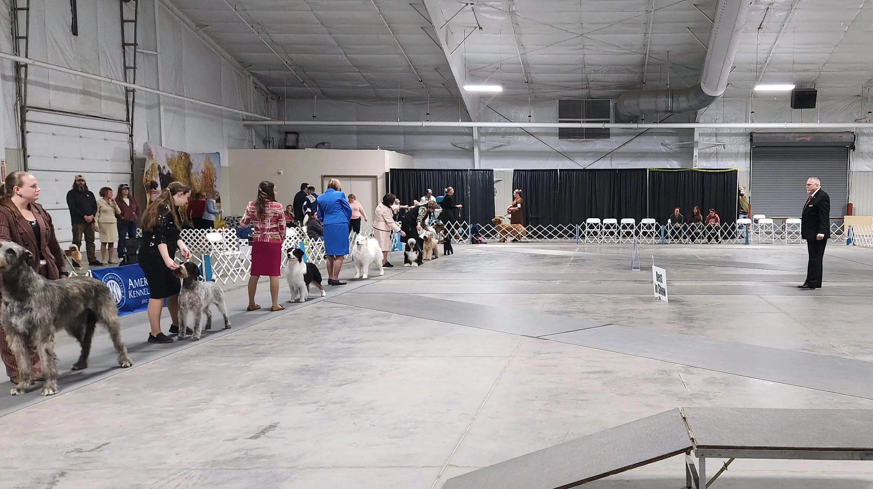2025 Annual Show