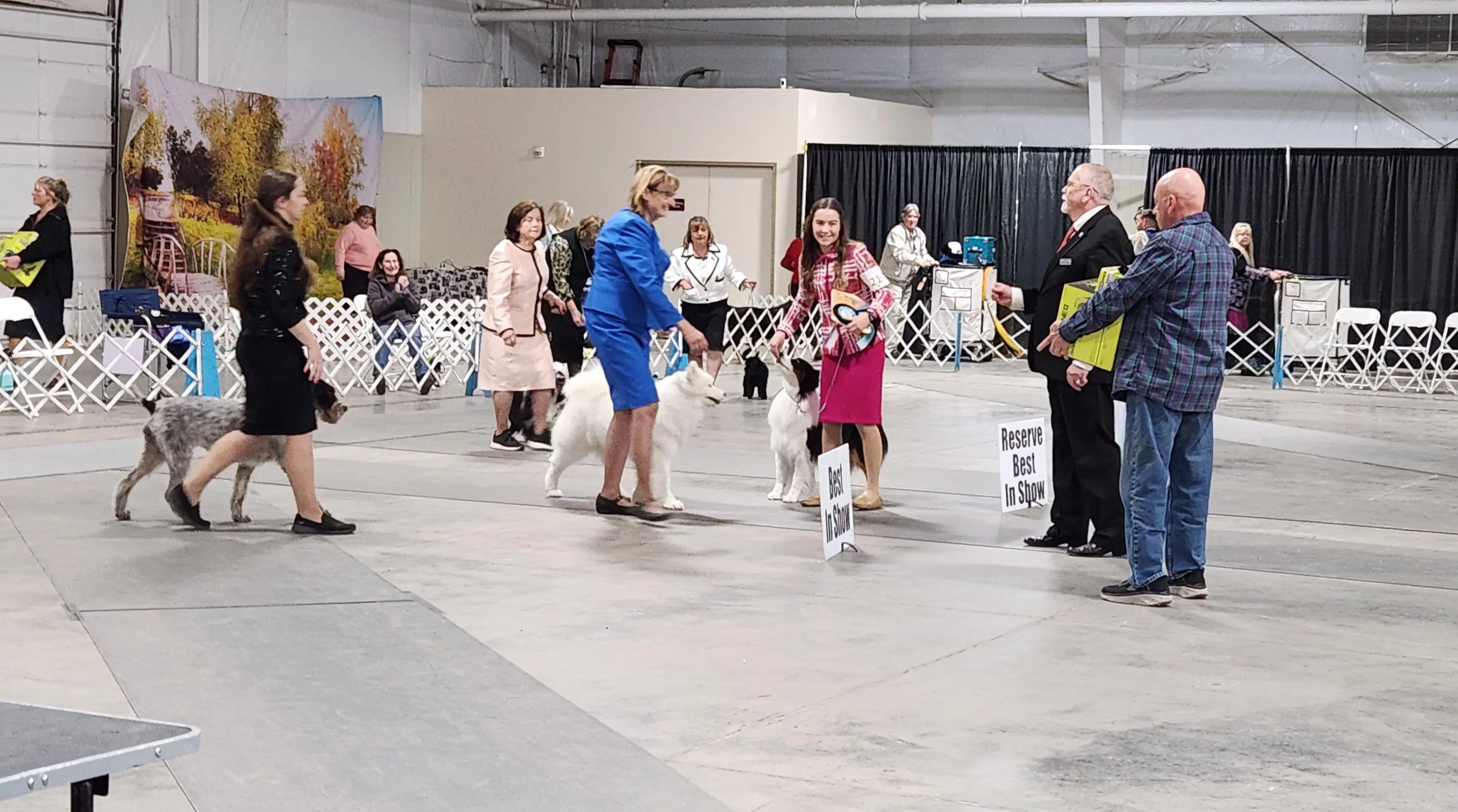 2025 Annual Show