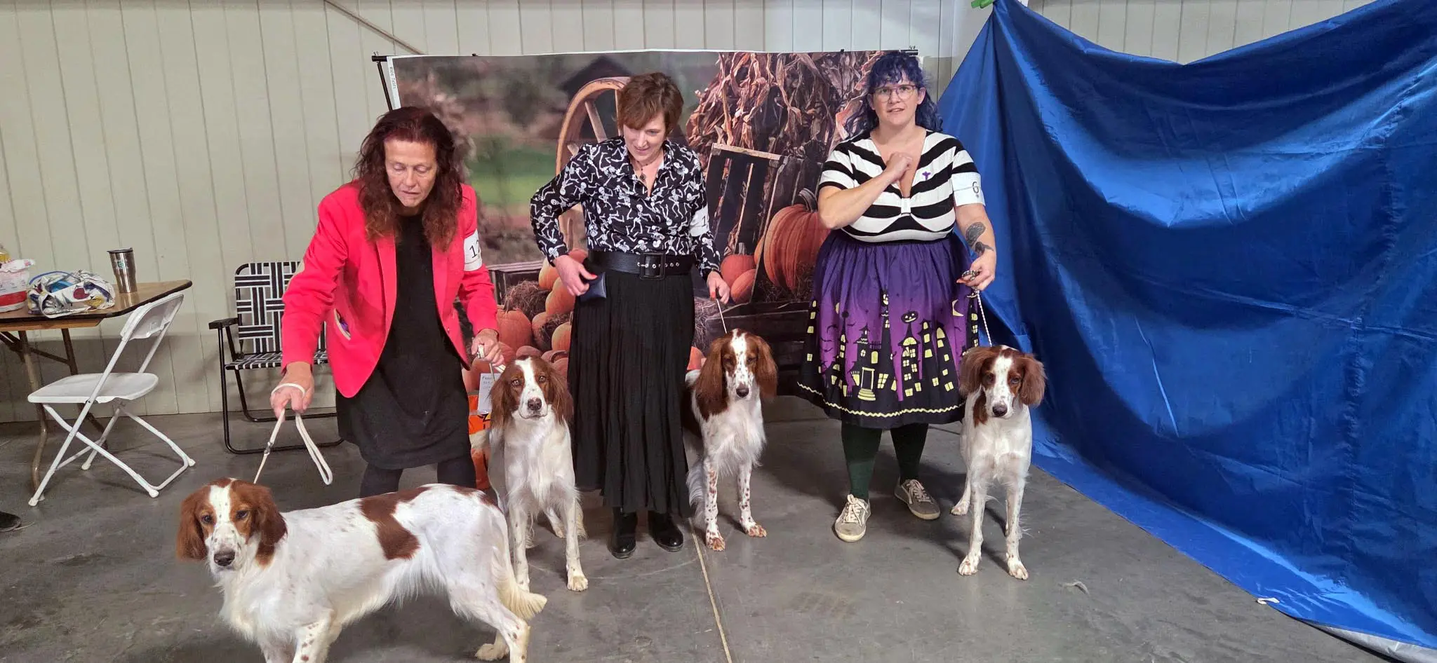 2025 Annual Show