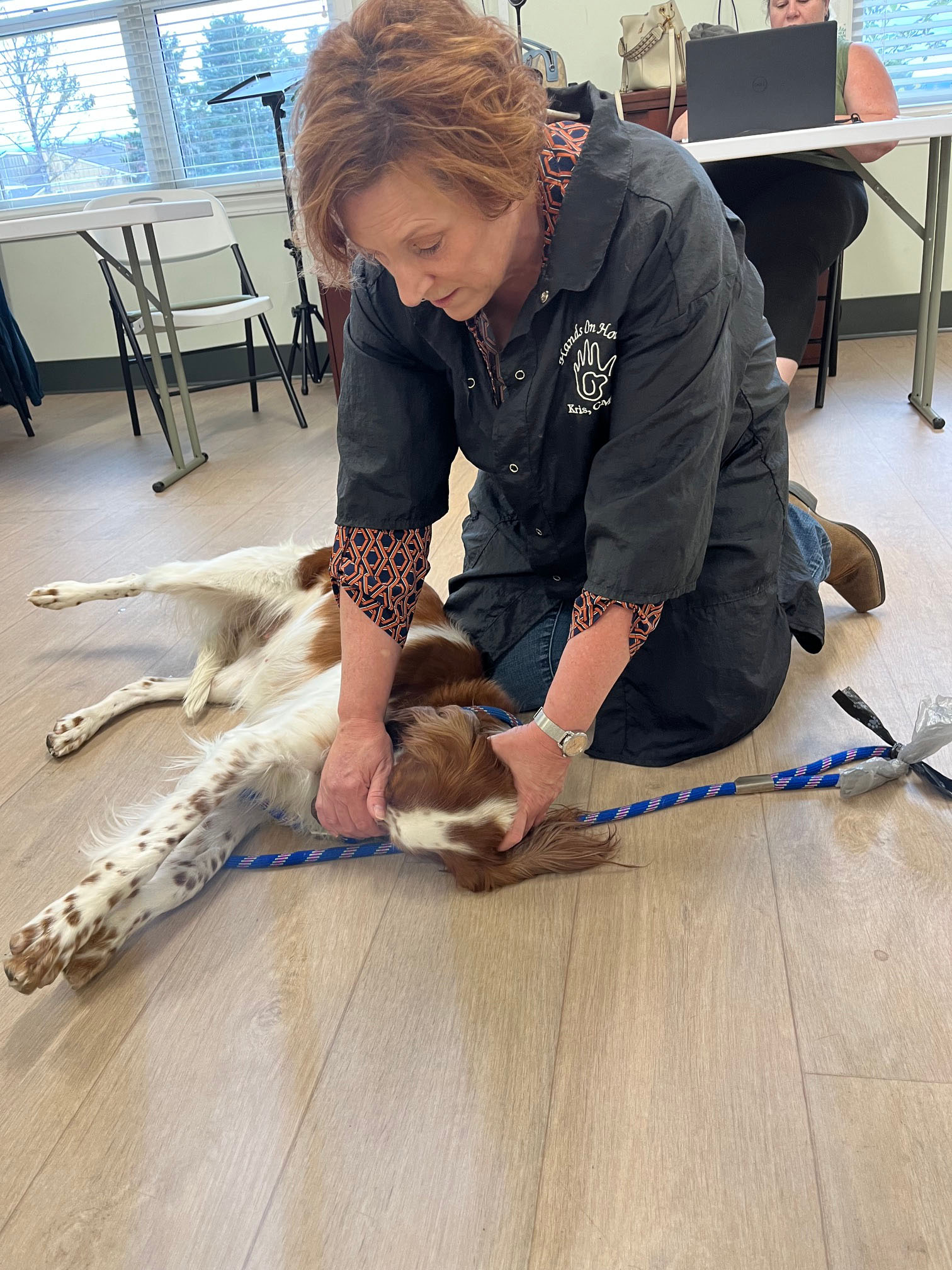 2026 Meeting Program Stretching the Canine Athlete