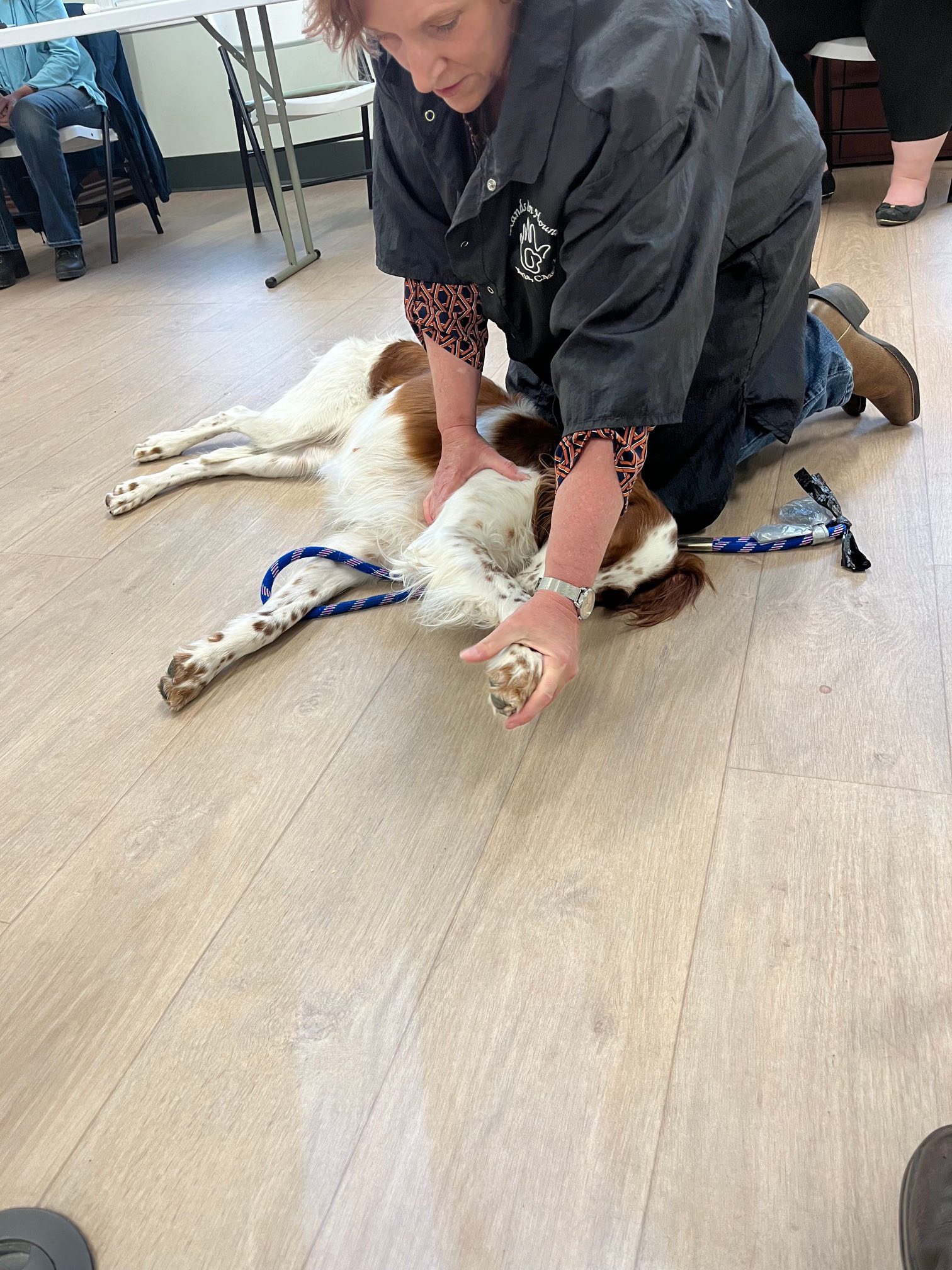 2026 Meeting Program Stretching the Canine Athlete
