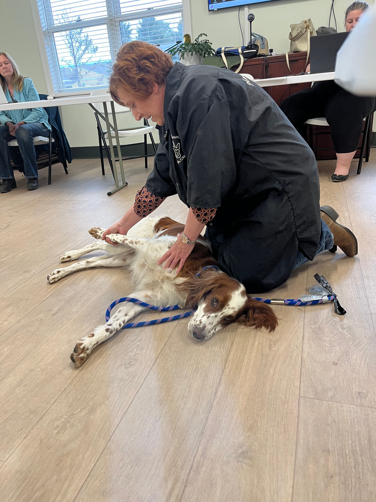 2026 Meeting Program Stretching the Canine Athlete