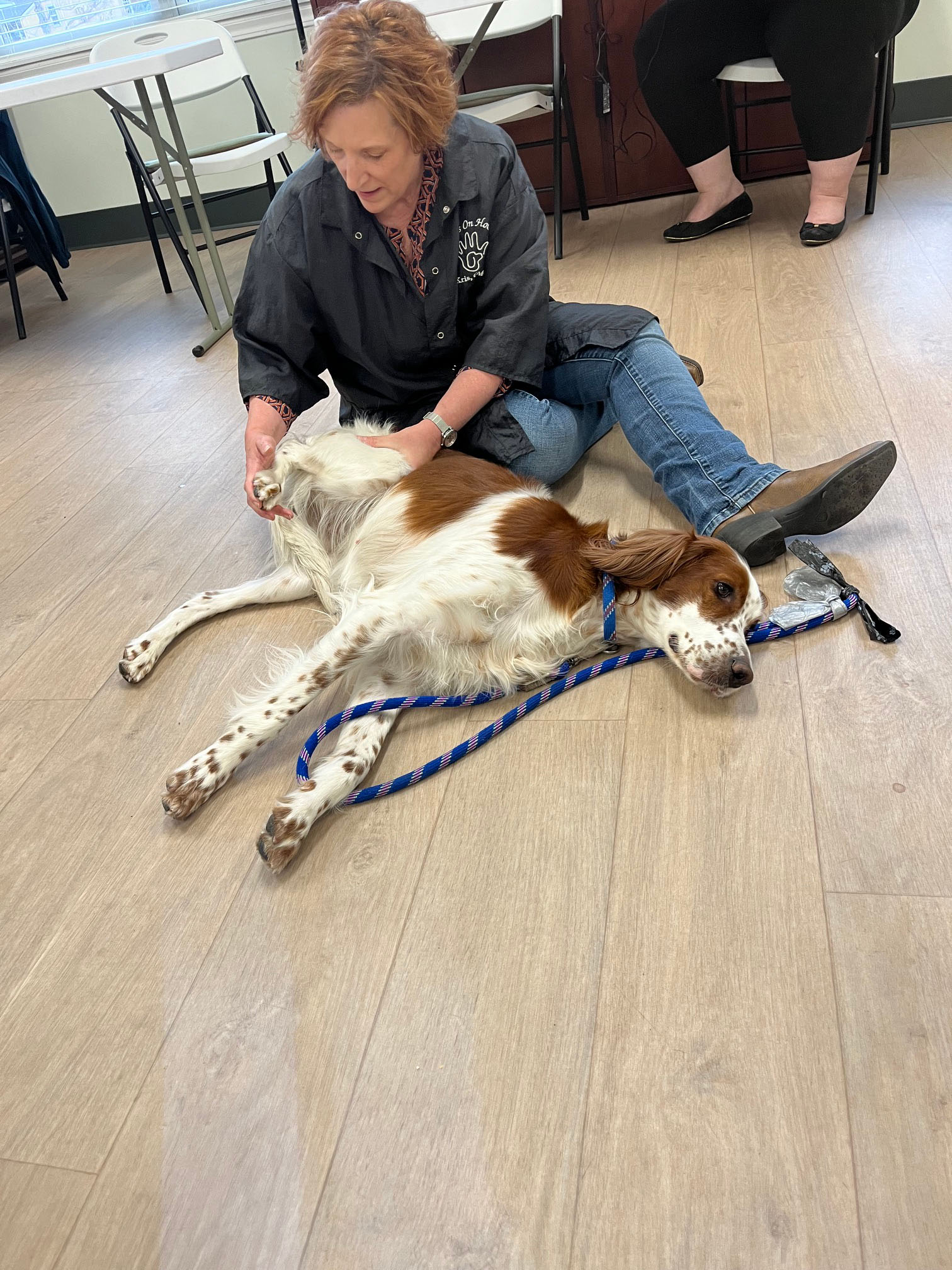 2026 Meeting Program Stretching the Canine Athlete