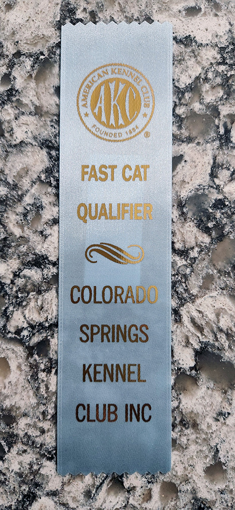 2024 Fast C.A.T.